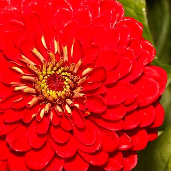 🎅🌟🤶🎄🎁🎶🎅🌟🤶🎄🎁🎶🎅🌟🤶🎄🎁 - Picture 9 of 14